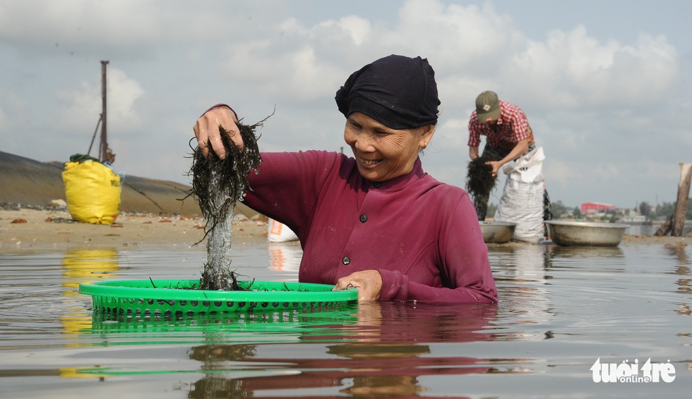 Ngâm mình trên sông vớt rong câu lúc bình minh - Ảnh 3. Ngâm mình trên sông vớt rong câu lúc bình minh - Ảnh 3.