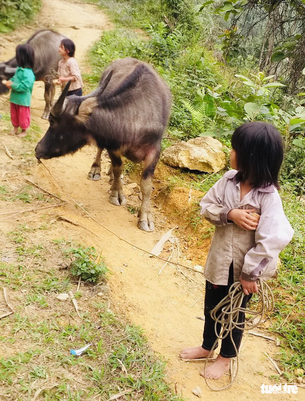 Thầy cô tranh thủ nghỉ dịch san đồi mở lớp cho bản xa - Ảnh 5. Thầy cô tranh thủ nghỉ dịch san đồi mở lớp cho bản xa - Ảnh 5.