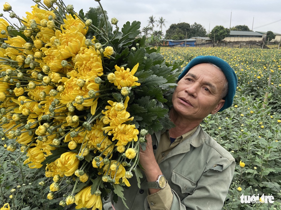 Cắt bỏ vườn hoa đổ ra đường đê - Ảnh 9. Cắt bỏ vườn hoa đổ ra đường đê - Ảnh 9.