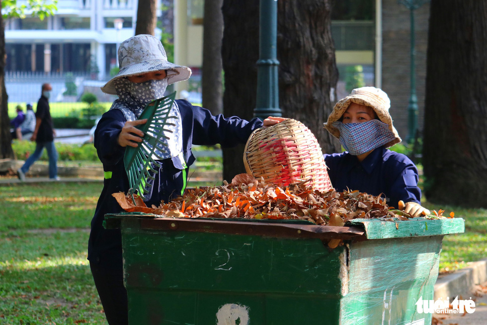 Có một mùa hoa chò lặng lẽ bay bay giữa Sài Gòn - Ảnh 14.