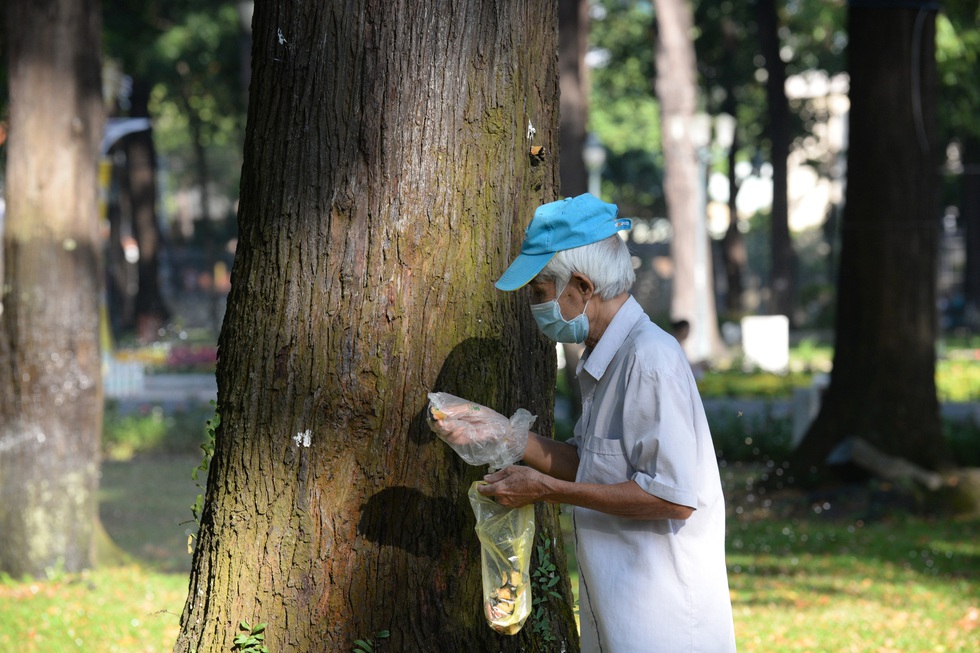 Mang bữa ăn sáng cho thú hoang ở công viên - Ảnh 6. Mang bữa ăn sáng cho thú hoang ở công viên - Ảnh 6.