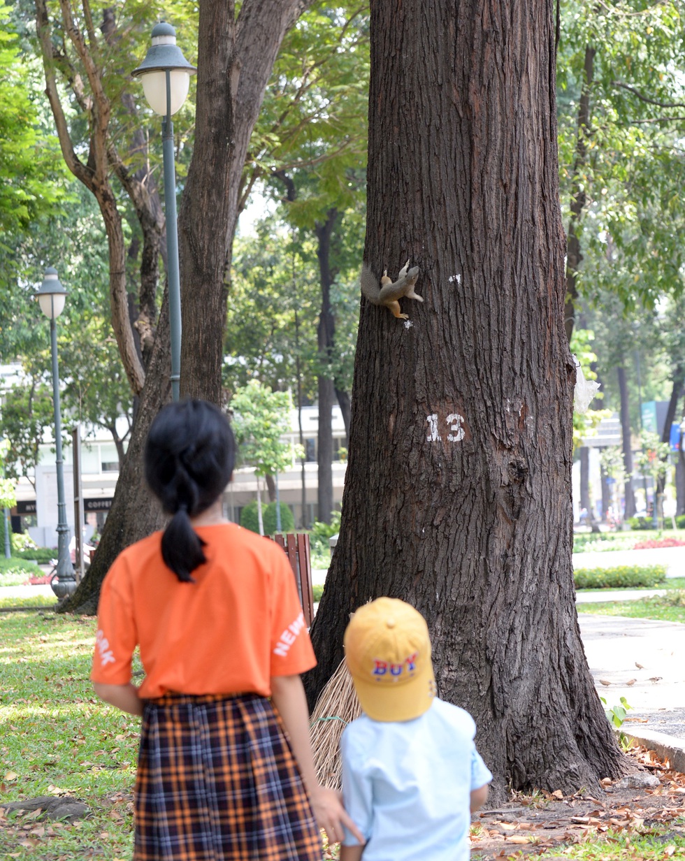Mang bữa ăn sáng cho thú hoang ở công viên - Ảnh 14. Mang bữa ăn sáng cho thú hoang ở công viên - Ảnh 14.