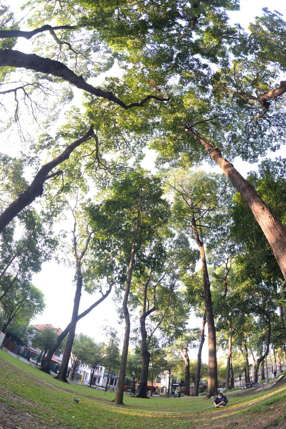 Mang bữa ăn sáng cho thú hoang ở công viên - Ảnh 16. Mang bữa ăn sáng cho thú hoang ở công viên - Ảnh 16.