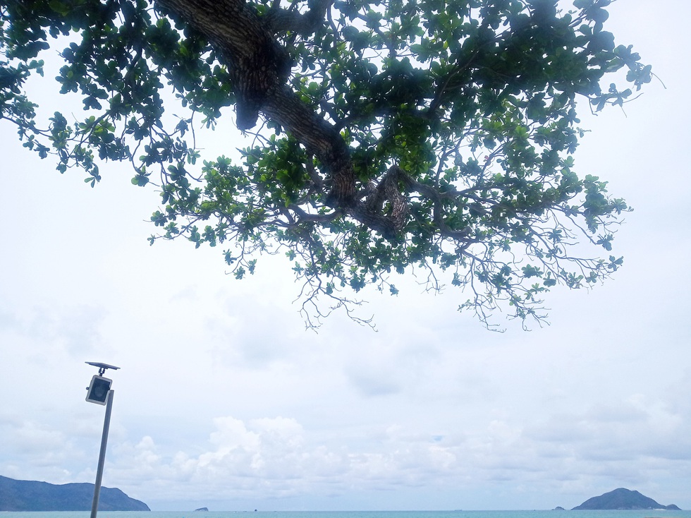 Thong dong Côn Đảo những ngày hè đẹp nhất trong năm - Ảnh 11. Thong dong Côn Đảo những ngày hè đẹp nhất trong năm - Ảnh 11.