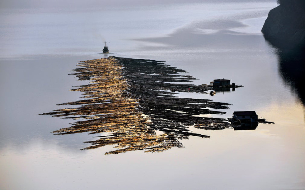 Sững sờ với nước qua giải Nhiếp ảnh quốc tế Hamdan năm 2020 - Ảnh 4.