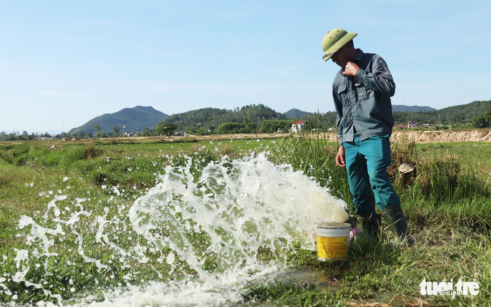 Đồng ruộng nứt toác vì nắng hạn, nông dân ngồi trên lửa - Ảnh 4. Đồng ruộng nứt toác vì nắng hạn, nông dân ngồi trên lửa - Ảnh 4.