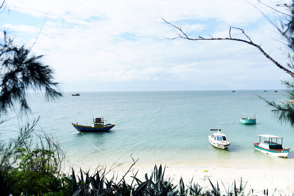 Đến Cù Lao Câu lặn ngắm san hô, ngắm vương quốc đá - Ảnh 11.