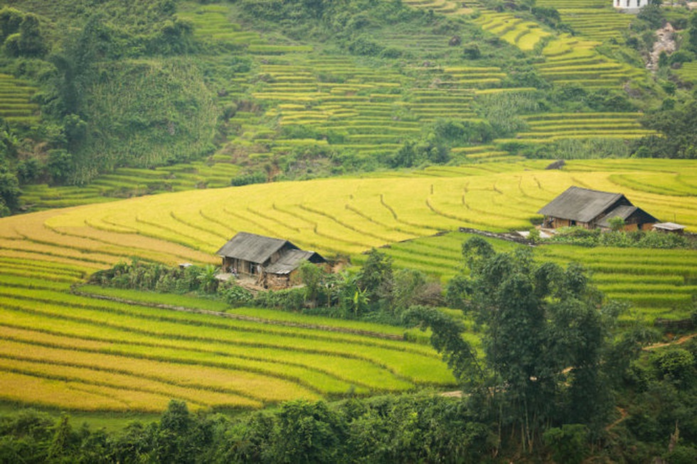 Báo Đức: Việt Nam là một trong những đất nước đẹp nhất châu Á - Ảnh 5. Báo Đức: Việt Nam là một trong những đất nước đẹp nhất châu Á - Ảnh 5.