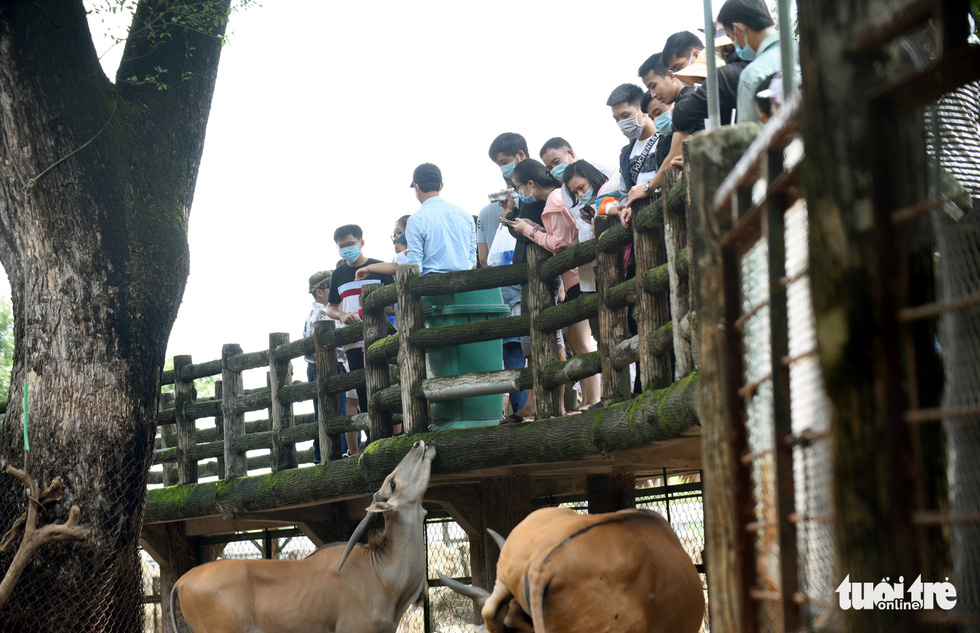 The Saigon Zoo and Botanical Gardens are full of visitors to the ceremony - Photo 3.