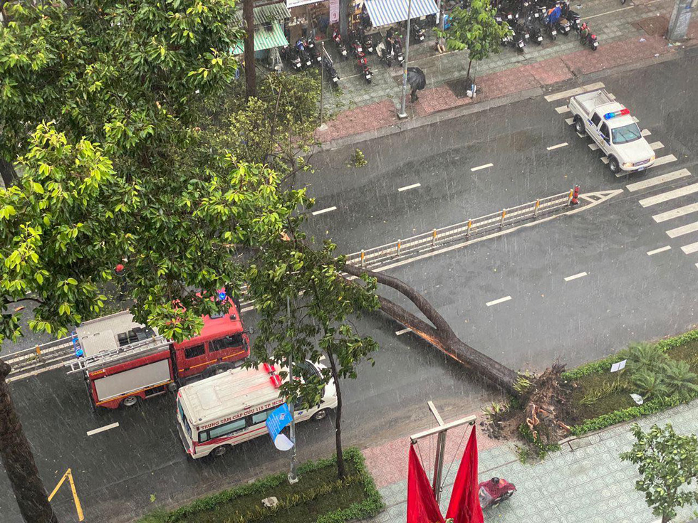 Cây bật gốc đổ ngang đường Nguyễn Tri Phương làm 1 người bị thương, ngập và kẹt xe nhiều nơi - Ảnh 3.