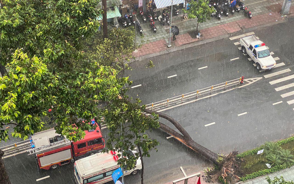 Cây bật gốc đổ ngang đường Nguyễn Tri Phương làm 1 người bị thương, ngập và kẹt xe nhiều nơi - Ảnh 3.
