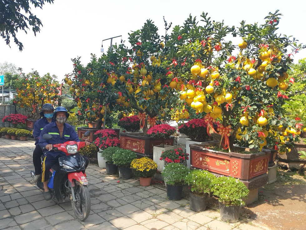 Cam canh, bưởi Diễn... hàng chục triệu đồng Nam tiến - Ảnh 2.