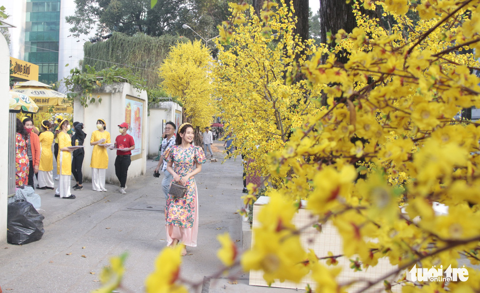 Lễ hội Tết Việt chưa bắt đầu, nhiều bạn gái đã xúng xính váy áo với đường mai - Ảnh 1.