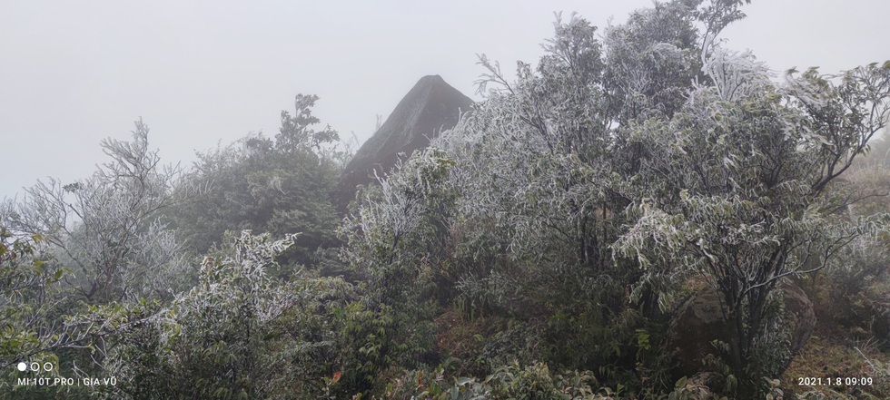 The white frost on the top of Cao Ly in Quang Ninh - Photo 2.