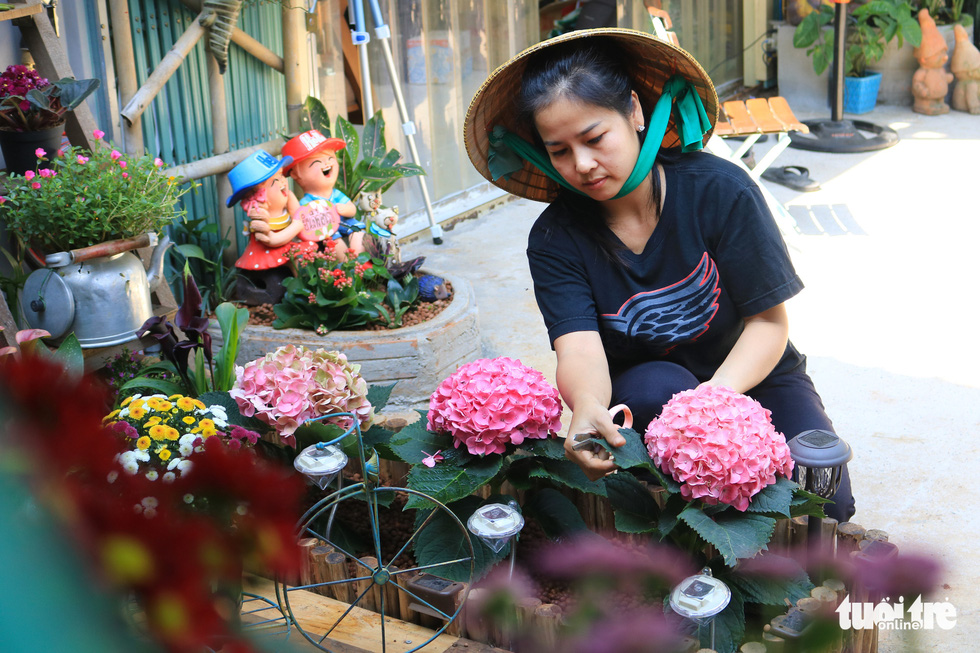 Mini garden in the heart of Saigon - Photo 3.