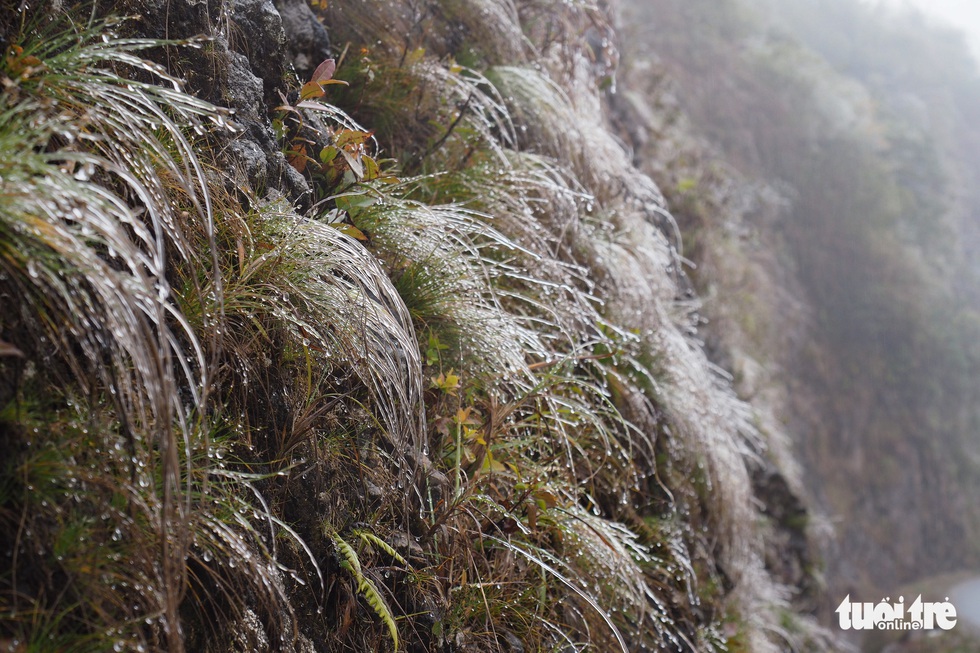 Tourists huddled up the top of O Quy Ho Pass to take frozen photos - Photo 3.