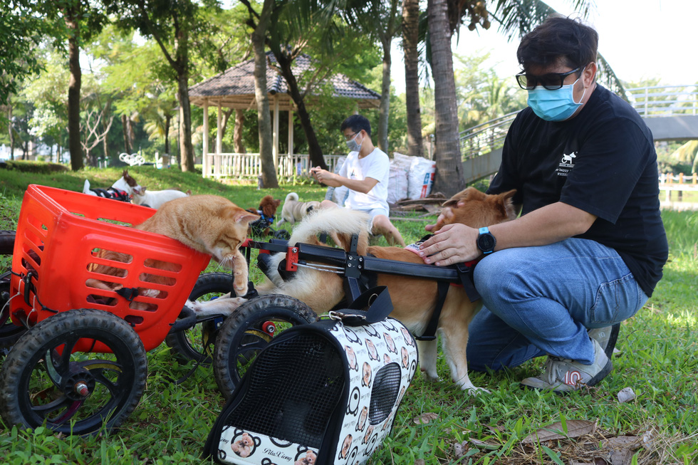 Cặp đôi vợ Việt chồng Tây làm xe lăn cho chó mèo khuyết tật ở Sài Gòn - Ảnh 2.