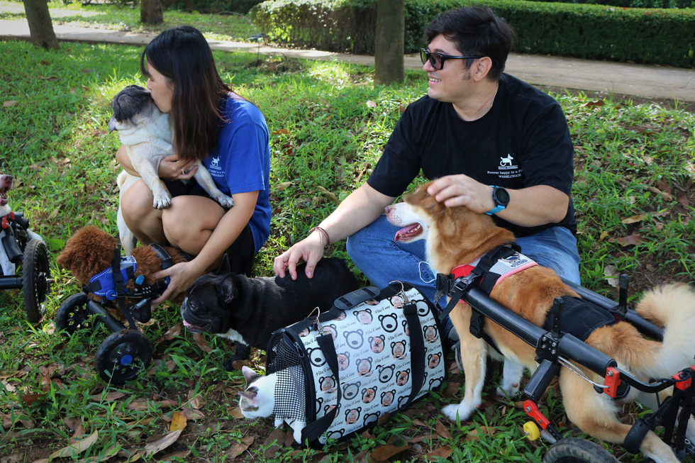 Cặp đôi vợ Việt chồng Tây làm xe lăn cho chó mèo khuyết tật ở Sài Gòn - Ảnh 3.