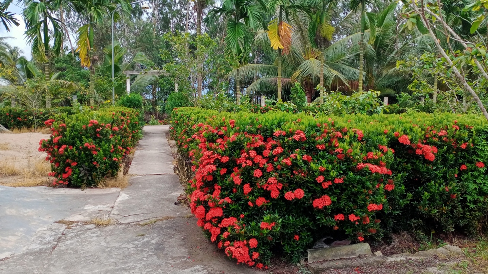 Cuộc thi Nhà tôi - Mái ấm: Nhà là nơi để về - Ảnh 7. Cuộc thi Nhà tôi - Mái ấm: Nhà là nơi để về - Ảnh 7.