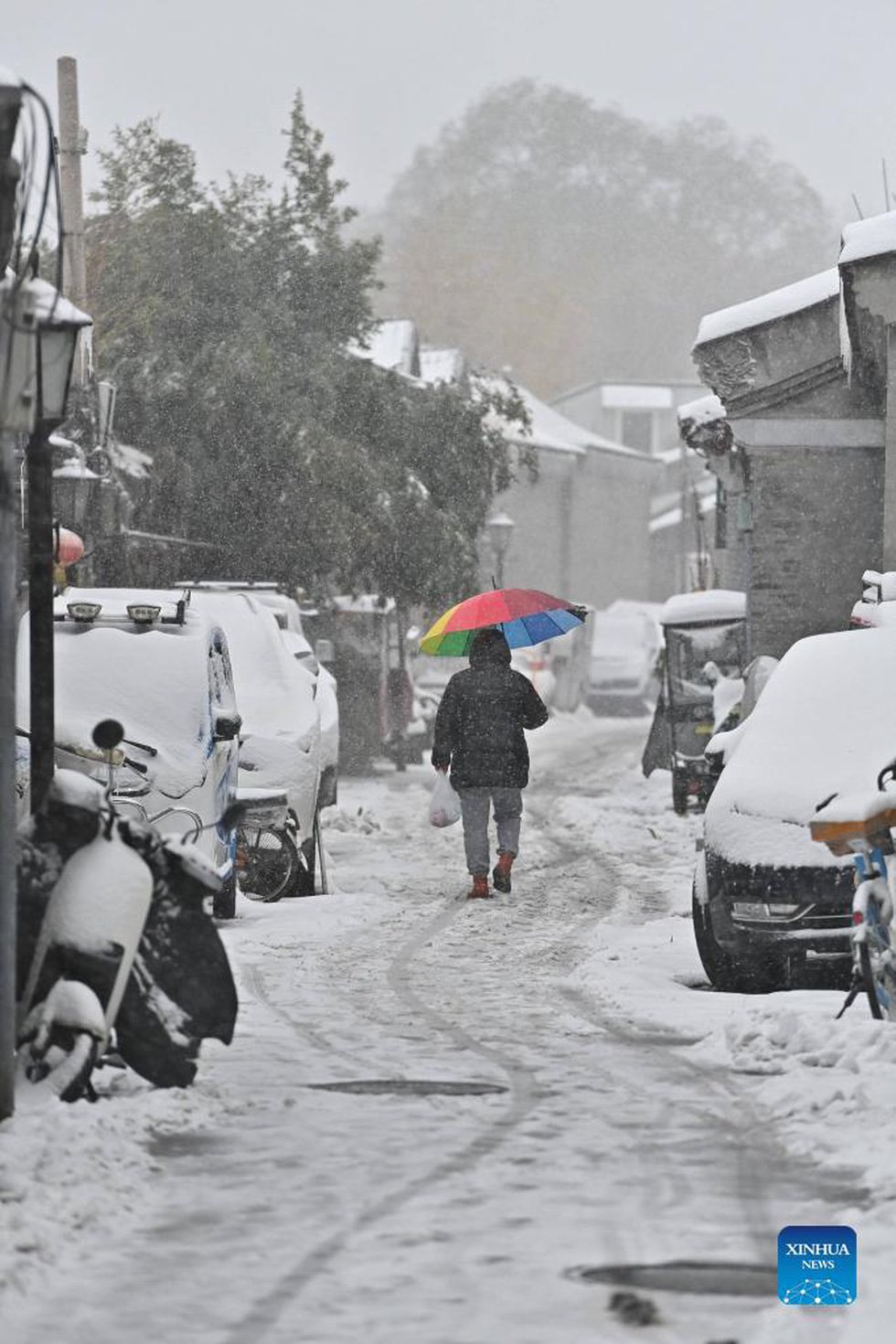 Tuyết đầu mùa ở Bắc Kinh đến sớm, nhiệt độ xuống thấp kỷ lục trong 10 năm - Ảnh 6.