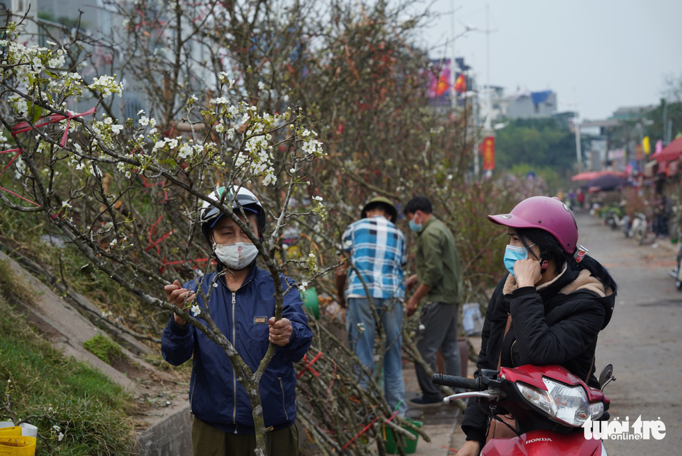 Dazedly at the white pear flowers down Hanoi city - Photo 4.