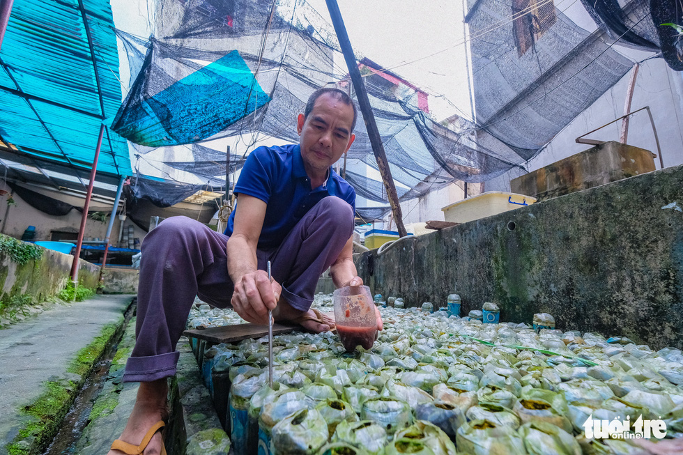 Nuôi cá chọi trong hàng ngàn vỏ chai phế liệu - Ảnh 5.