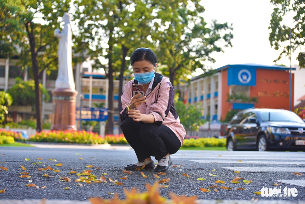 Chò nâu khoe sắc, xoay tít như chong chóng giữa Sài Gòn - Ảnh 5. Chò nâu khoe sắc, xoay tít như chong chóng giữa Sài Gòn - Ảnh 5.