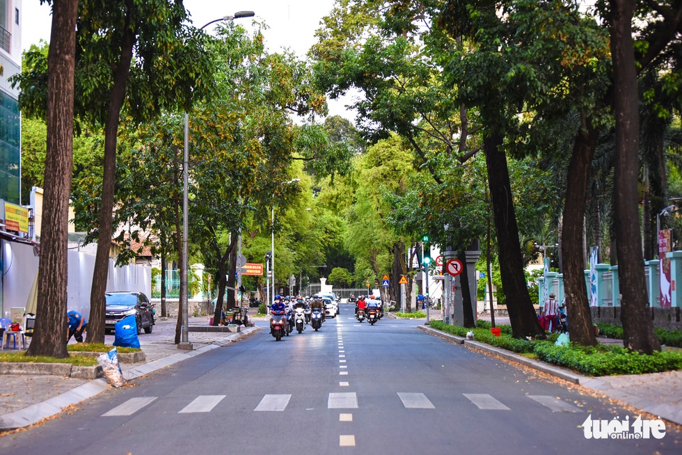 Chò nâu khoe sắc, xoay tít như chong chóng giữa Sài Gòn - Ảnh 10. Chò nâu khoe sắc, xoay tít như chong chóng giữa Sài Gòn - Ảnh 10.