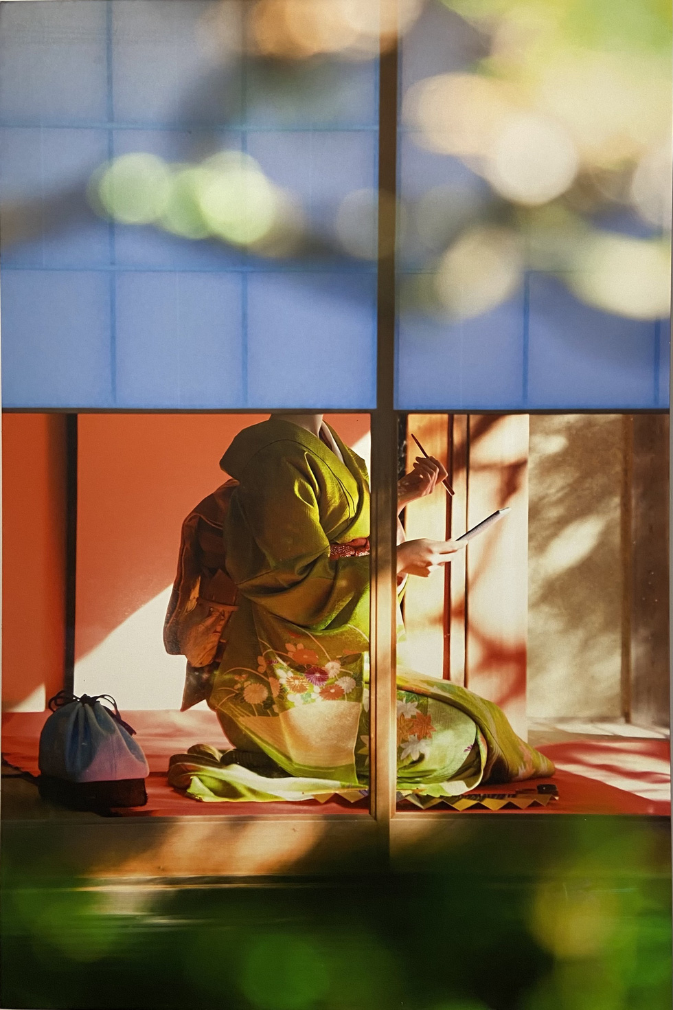 Khoảnh khắc bí ẩn các Maiko Nhật Bản qua khung hình đẹp hút hồn của nhiếp ảnh gia Pháp - Ảnh 6.