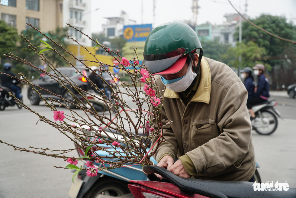 Đào hoa đã ngập phố Hà Nội, 10 người bán 1 người mua - Ảnh 7.