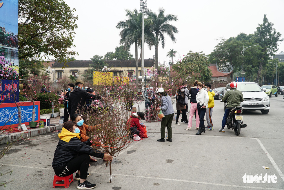 Đào hoa đã ngập phố Hà Nội, 10 người bán 1 người mua - Ảnh 5.