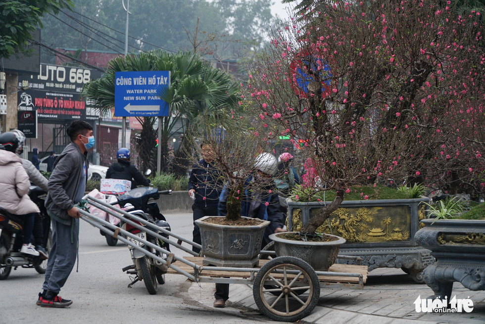 Đào hoa đã ngập phố Hà Nội, 10 người bán 1 người mua - Ảnh 3.