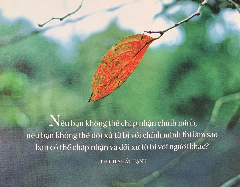 Tiếp xúc sâu sắc với hiện tại cùng thiền sư Thích Nhất Hạnh - Ảnh 7. Tiếp xúc sâu sắc với hiện tại cùng thiền sư Thích Nhất Hạnh - Ảnh 7.