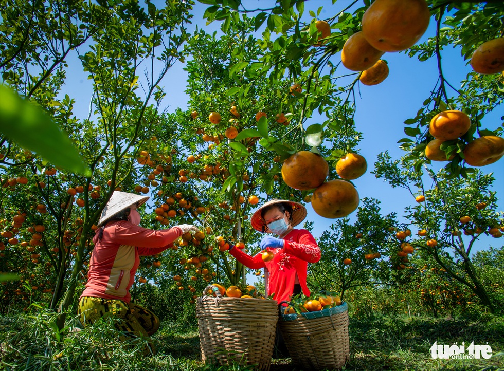 Thi ảnh Nụ xuân: Ngọt ngào tết sẻ chia - Ảnh 2. Thi ảnh Nụ xuân: Ngọt ngào tết sẻ chia - Ảnh 2.