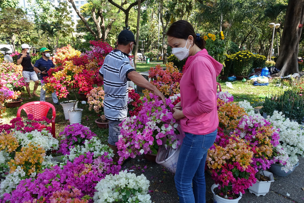 Hoa cắt cành bán chạy, hoa chưng Tết giảm giá sập sàn - Ảnh 7.