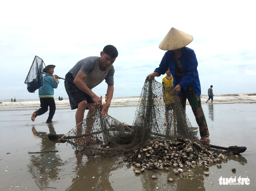 Thousands of people cheered to pick up the 'sea fortune' after a storm - Photo 4.