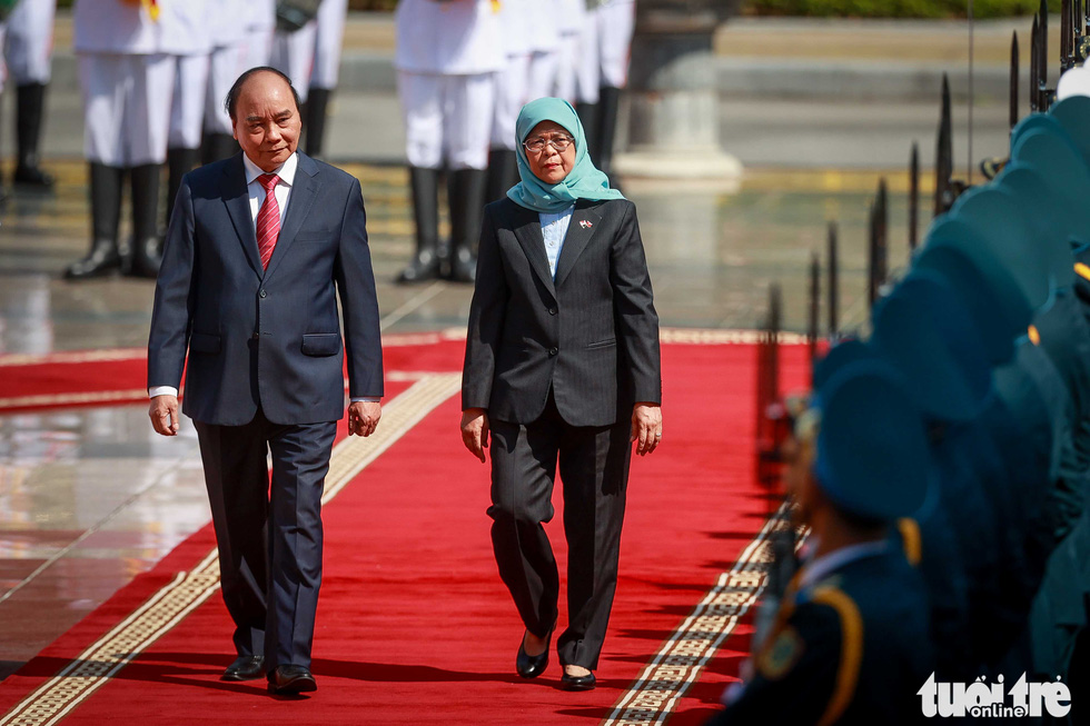 Chủ tịch nước đón và hội đàm Tổng thống Singapore thăm cấp nhà nước Việt Nam - Ảnh 3.