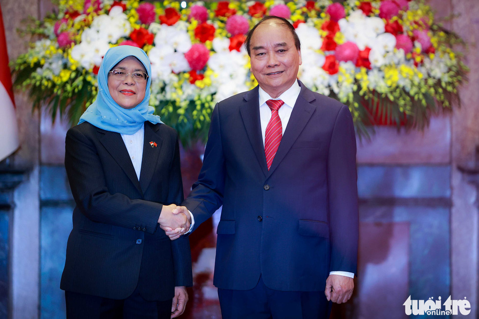 Chủ tịch nước đón và hội đàm Tổng thống Singapore thăm cấp nhà nước Việt Nam - Ảnh 4.