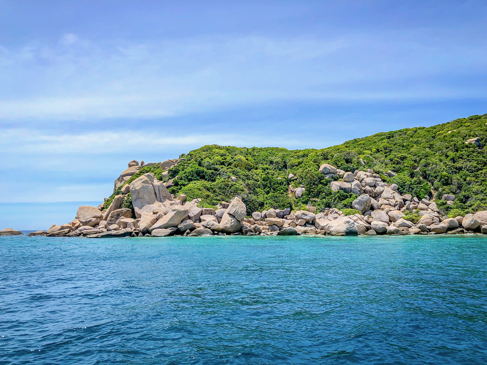 About Son Sea Paradise Don't dive to see corals - Photo 2.