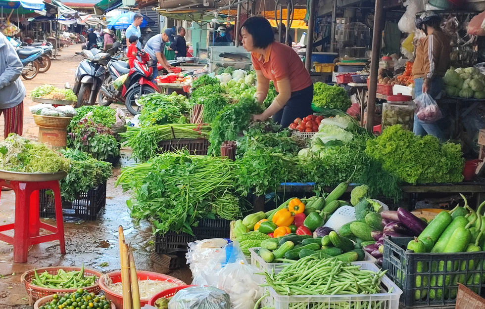 Tin sáng 29-10: Việt Nam có tỉ lệ thất nghiệp thấp; Giá rau Đà Lạt vẫn cao, trừ cà chua - Ảnh 6.