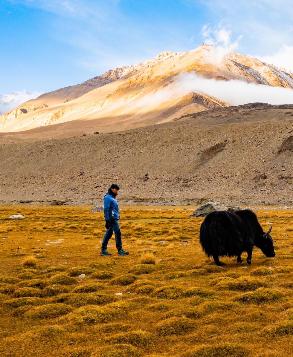 Chạy xe máy dưới núi tuyết tại Ladakh và kỷ niệm lạc đường trong đêm của travel blogger Việt - Ảnh 9. Chạy xe máy dưới núi tuyết tại Ladakh và kỷ niệm lạc đường trong đêm của travel blogger Việt - Ảnh 9.