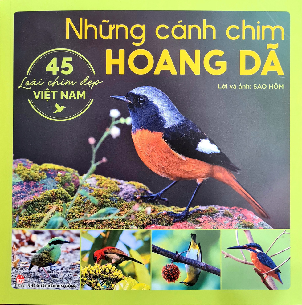 45 cánh chim đẹp như bay ra từ cổ tích, đậu lại trên đất Việt - Ảnh 4.