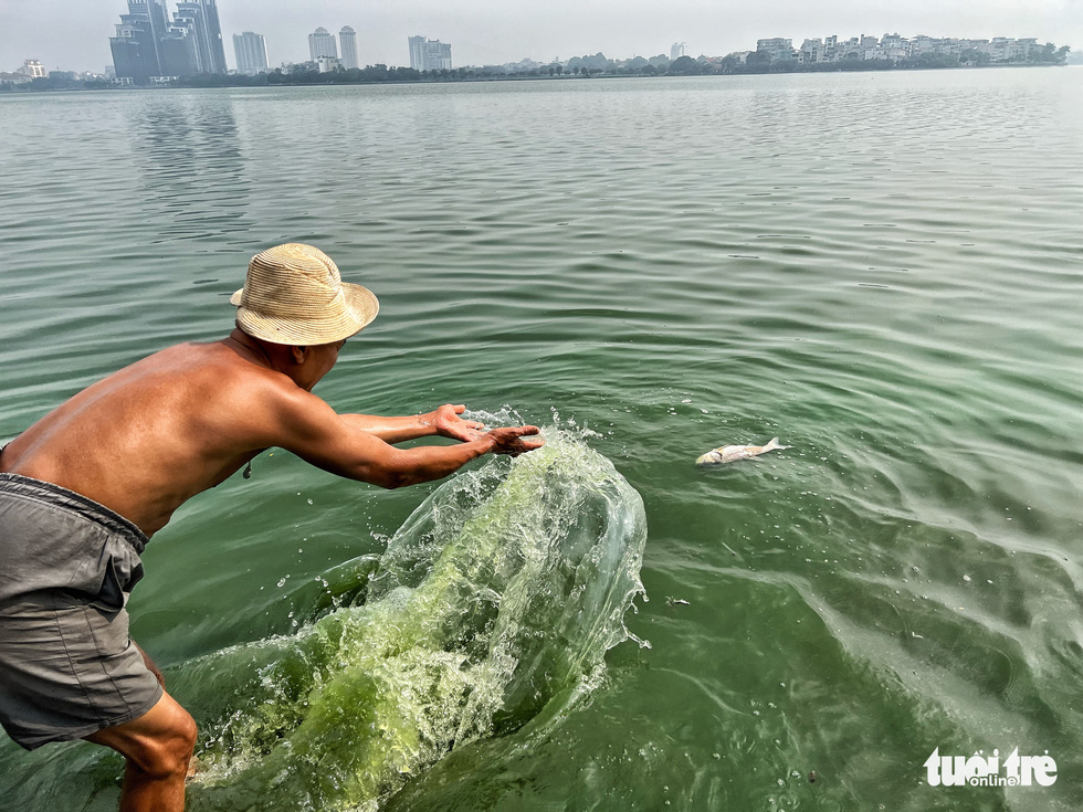 Hà Nội khẩn trương chỉ đạo, cá vẫn chết nổi ở hồ Tây, bốc mùi hôi thối - Ảnh 4.