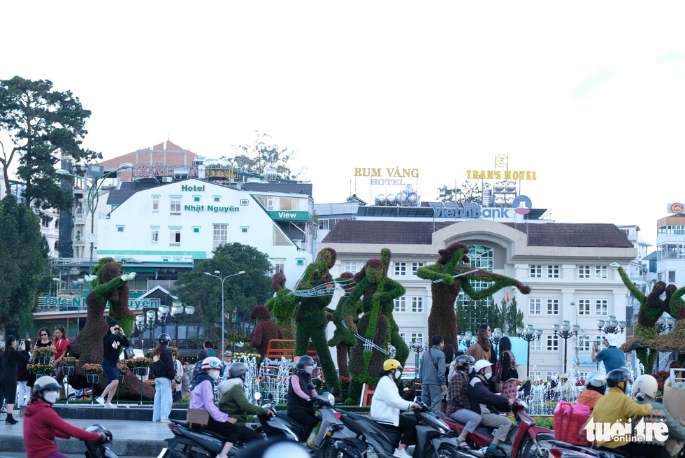 Đà Lạt dùng 500.000 chậu hoa trang điểm phố phường chờ khai mạc Festival Hoa - Ảnh 4. Đà Lạt dùng 500.000 chậu hoa trang điểm phố phường chờ khai mạc Festival Hoa - Ảnh 4.