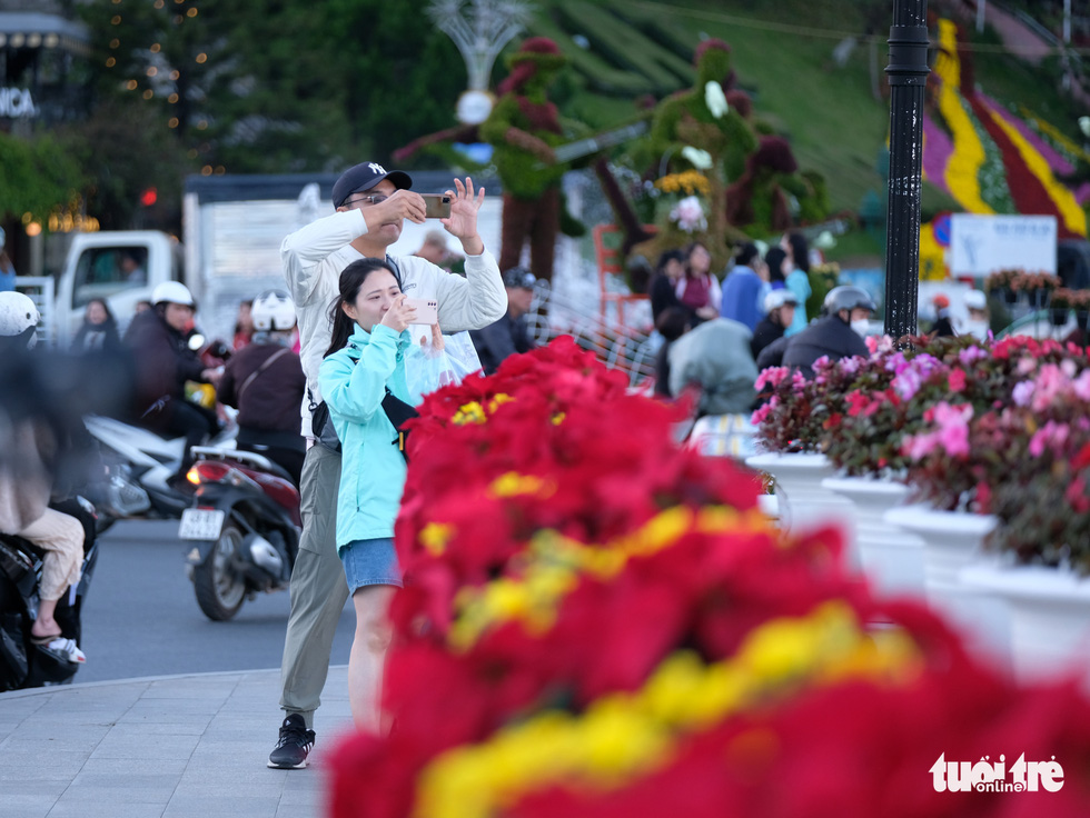 Đà Lạt dùng 500.000 chậu hoa trang điểm phố phường chờ khai mạc Festival Hoa - Ảnh 2.
