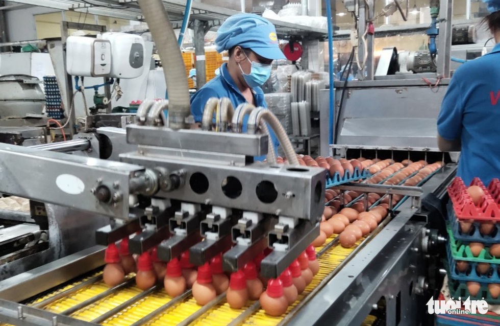 Tin tức sáng 6-12: Giá thịt gà hai miền Nam Bắc quá chênh nhau; Xử nghiêm người dỡ phân cách cao tốc - Ảnh 2. Tin tức sáng 6-12: Giá thịt gà hai miền Nam Bắc quá chênh nhau; Xử nghiêm người dỡ phân cách cao tốc - Ảnh 2.