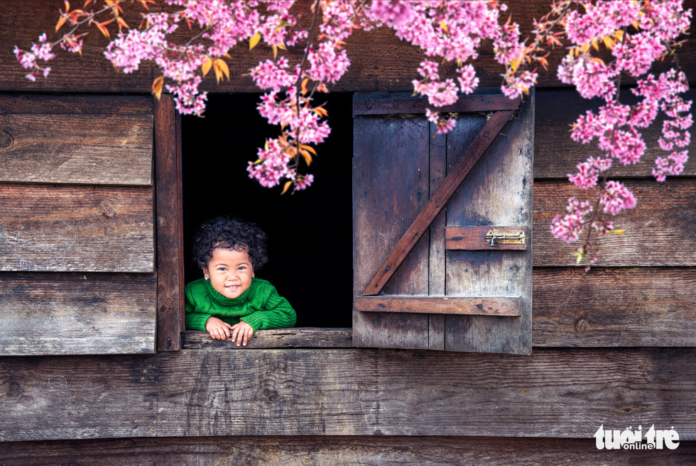 Thi ảnh Nụ xuân: Cả mùa xuân trong nụ cười trẻ thơ - Ảnh 1.