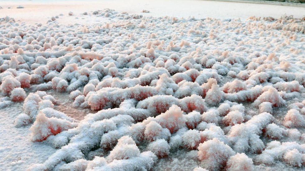 Sắc màu Biển Chết ở hồ muối Yuncheng - Ảnh 4.