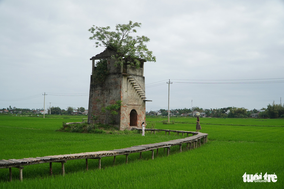 Bên Lò gạch cũ trồng gạo sạch, mở farmstay hút du khách - Ảnh 1.