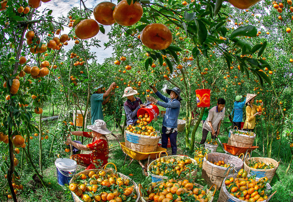 Ngắm loạt ảnh ca ngợi mùa xuân mới của quê hương - Ảnh 5.